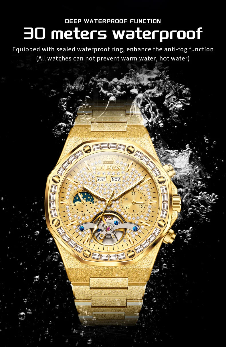 Gold Steel Men's Watch Top Brand Automatic Mechanical Luxury Waterproof