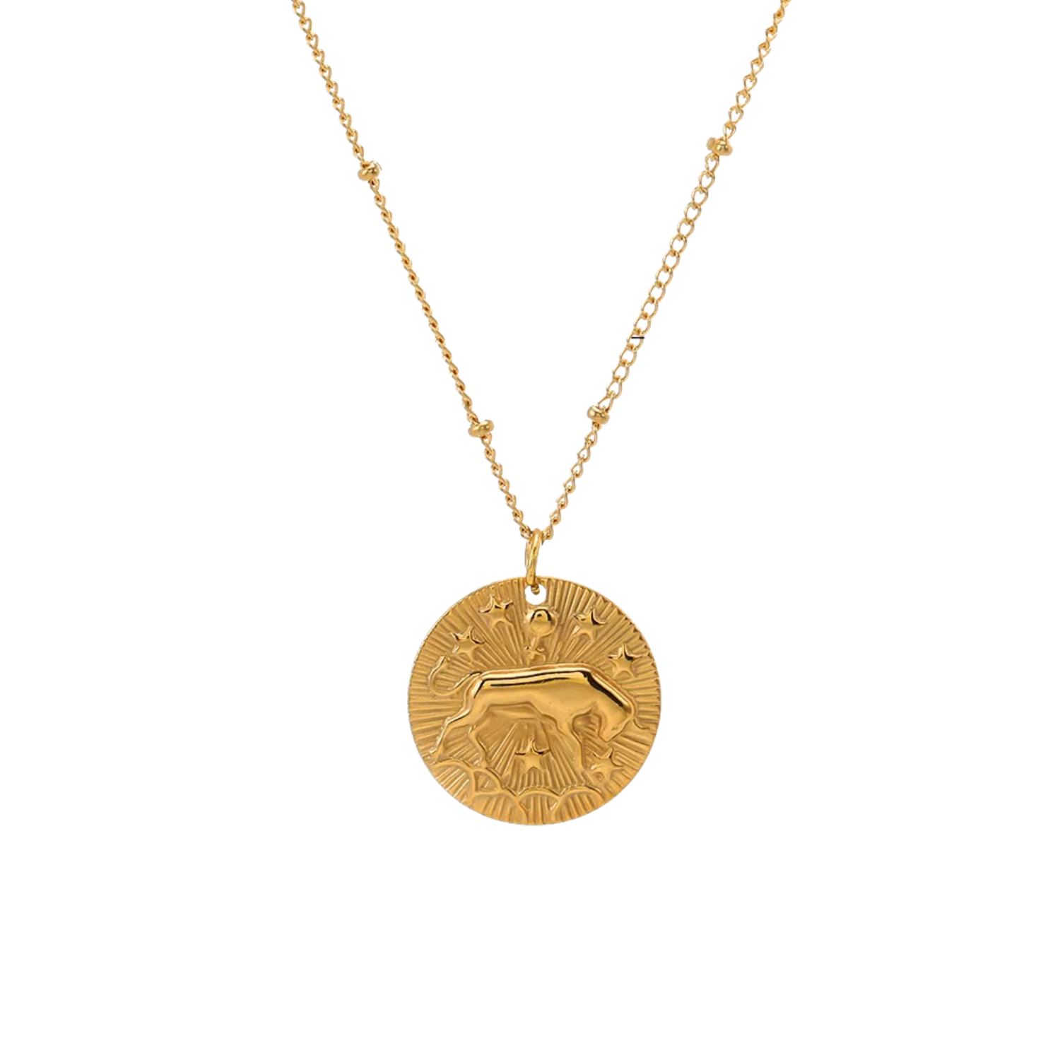 Zodiac Golden Amulet Necklace